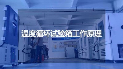 <i style='color:red'>溫度（dù）循環試驗</i>箱的工作原理